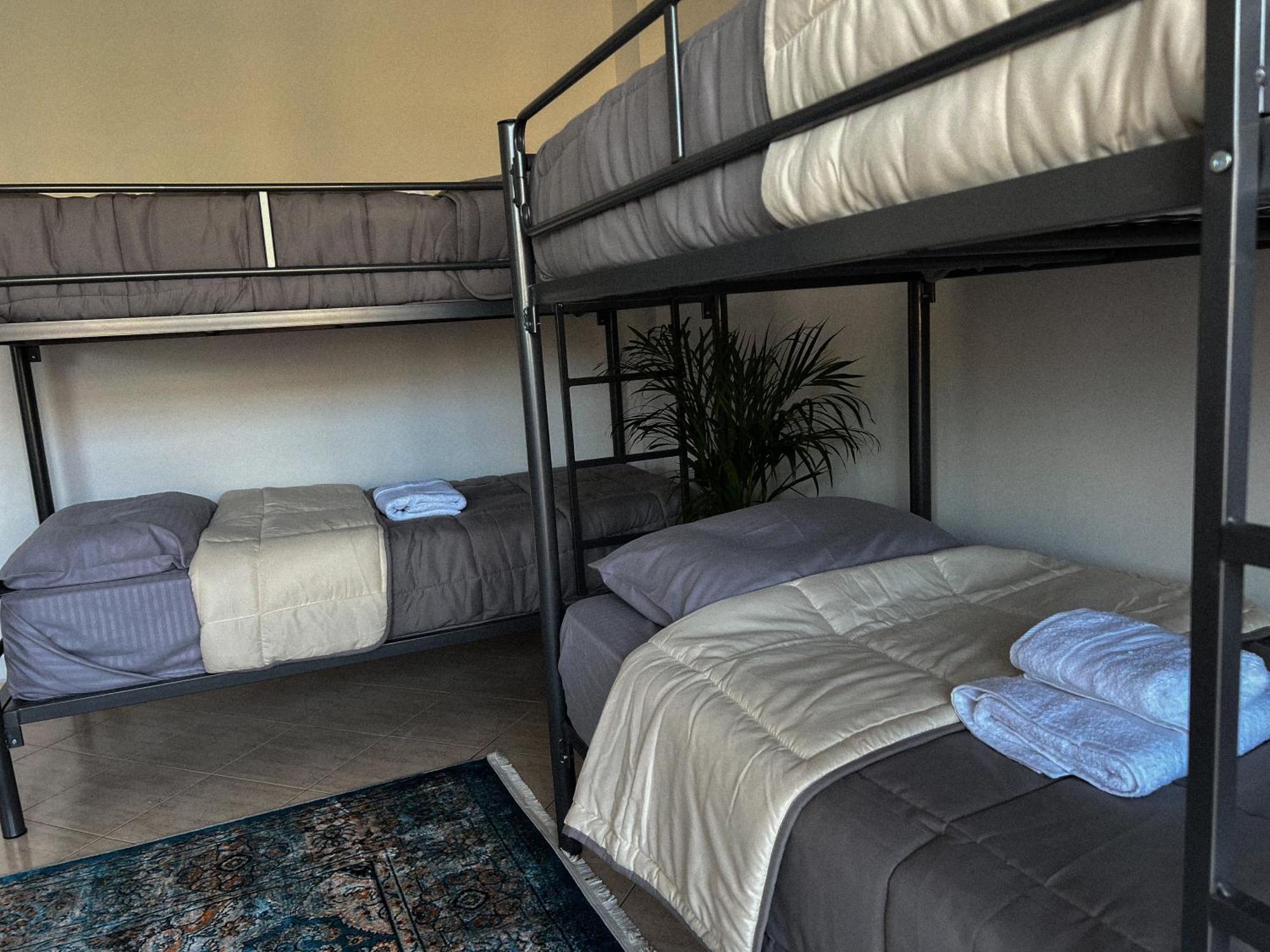 Hostel By Fenix Τίρανα Εξωτερικό φωτογραφία