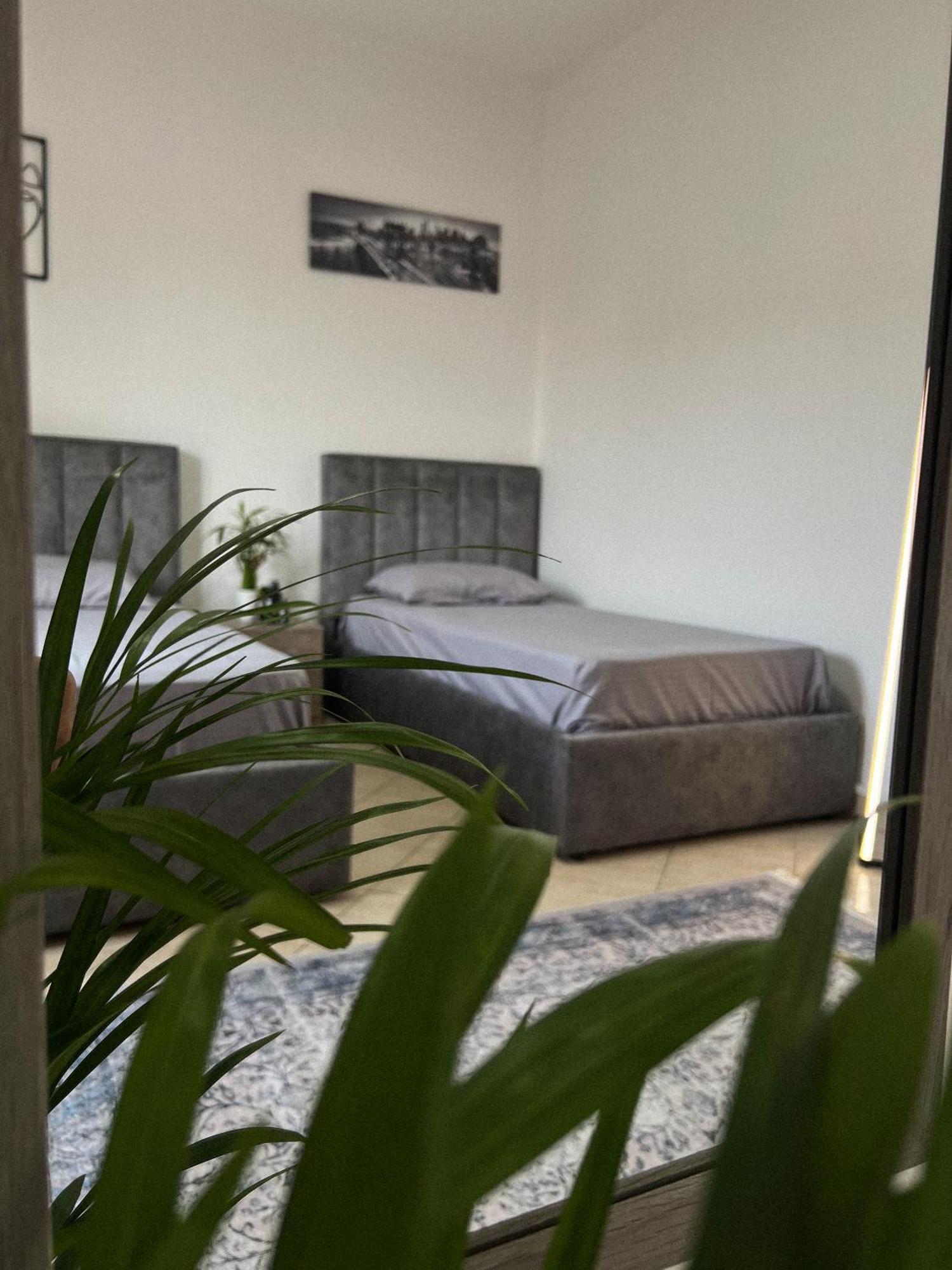 Hostel By Fenix Τίρανα Εξωτερικό φωτογραφία