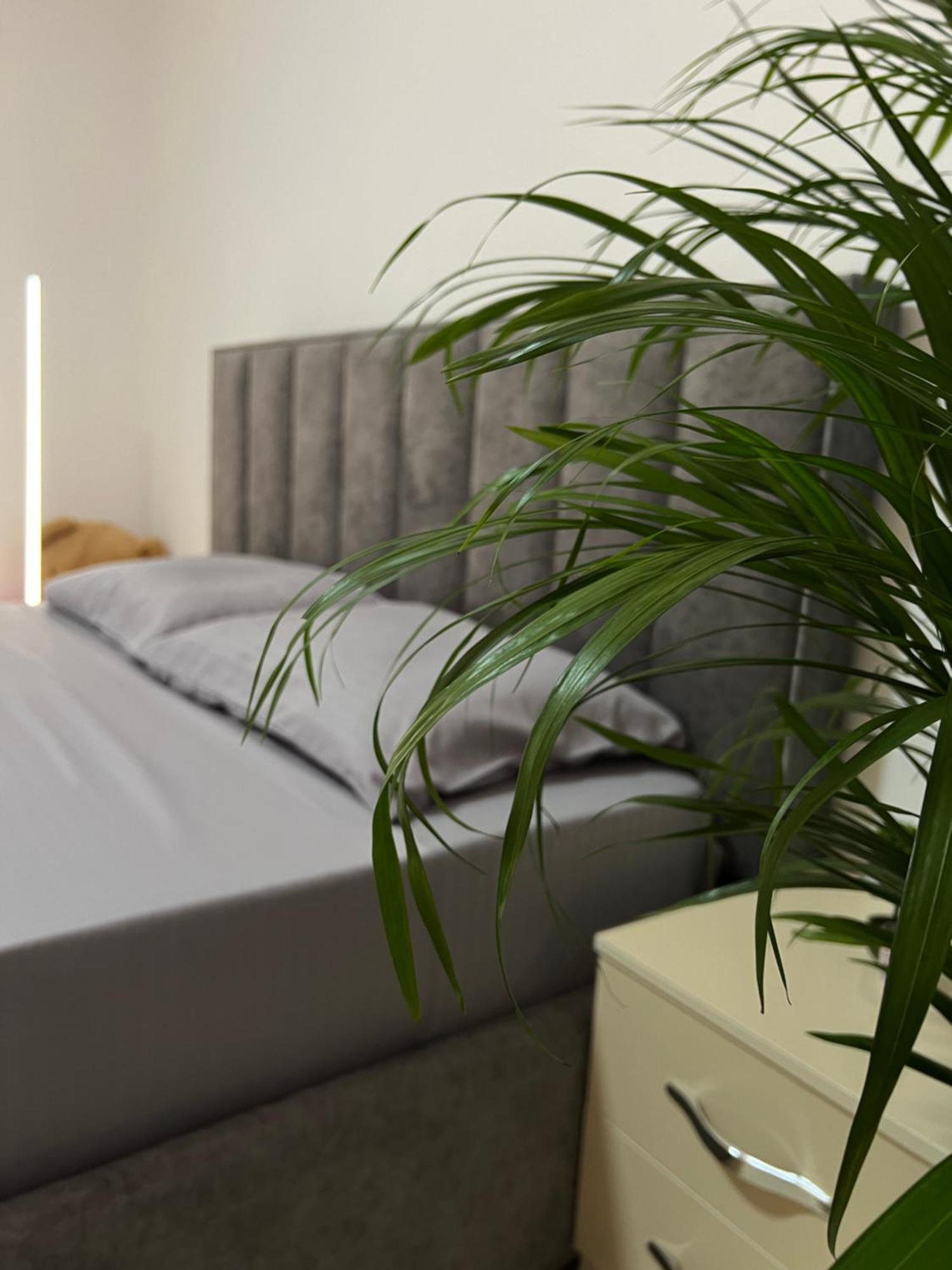 Hostel By Fenix Τίρανα Εξωτερικό φωτογραφία